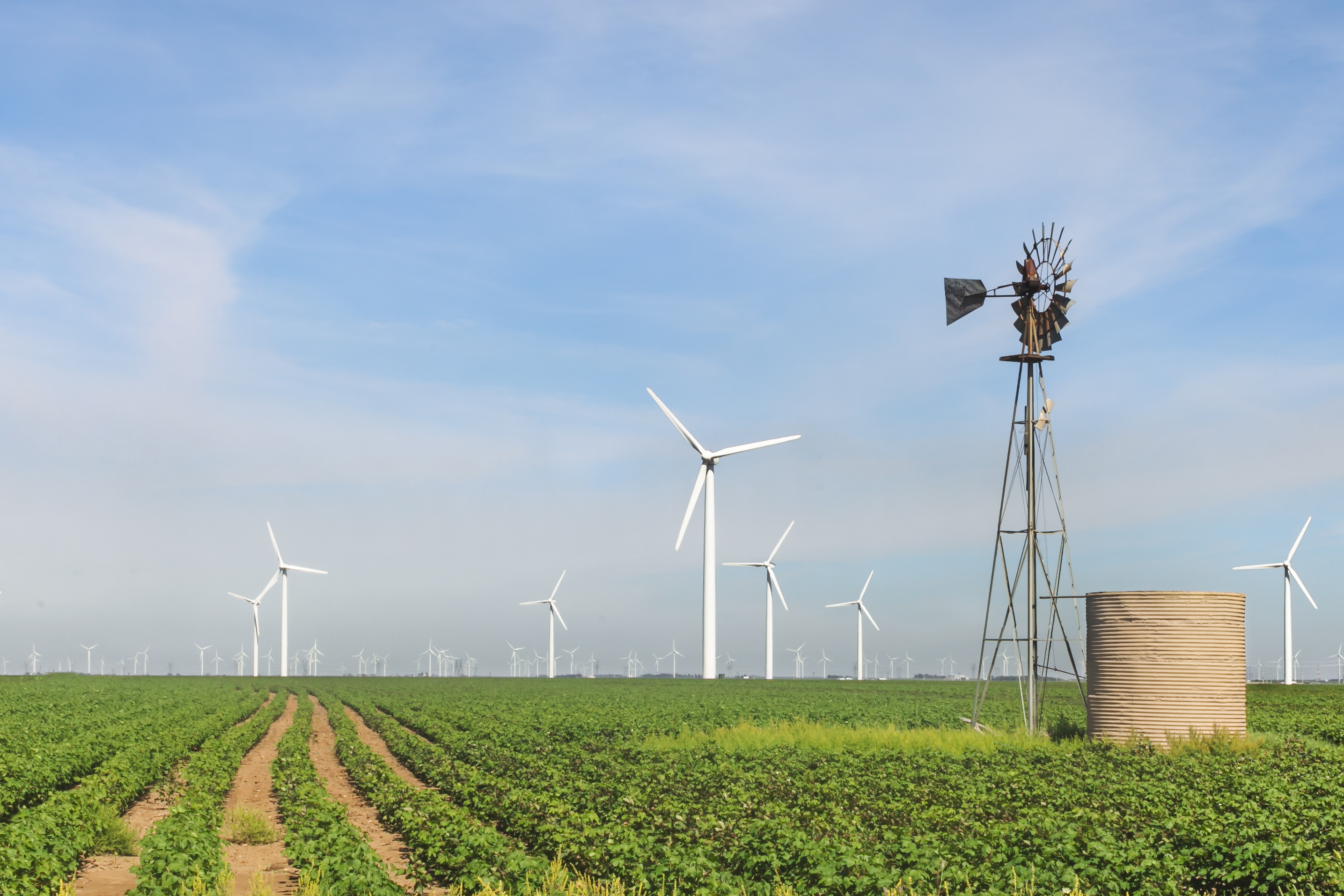 Windkraftanlagen auf einem grünen Feld